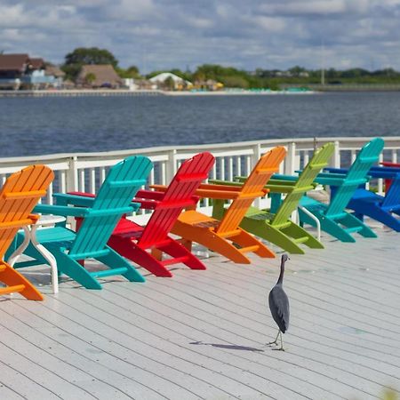 412-Amazing Views, Waterfront, Wifi, Pool, Close To Bucs Stadium Tampa Esterno foto