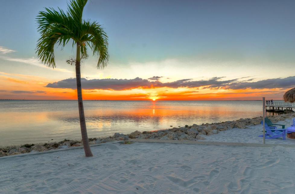 412-Amazing Views, Waterfront, Wifi, Pool, Close To Bucs Stadium Tampa Esterno foto